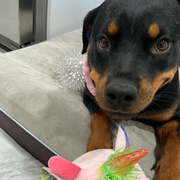 Meet your Posher, Brenda - Picture 1 of 1